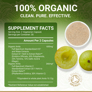True Veda Organic Amla 60 Capsules